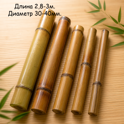 Бамбуковый ствол (обожженный) D 30-40мм. L 2,8-3м.